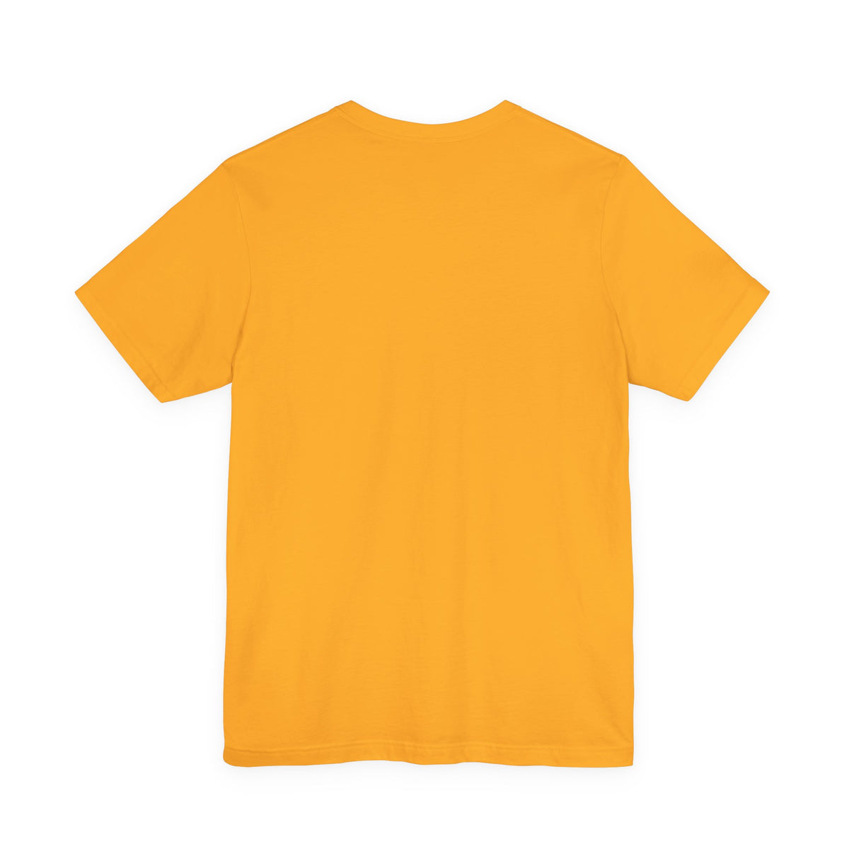 Adult Unisex Tee Bella+Canvas · 3001